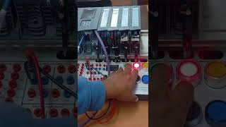 PROFIBUS entre PLCs [upl. by Griggs]