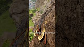 COMO TER MAIS STAMINA COM O PTERO theisle theislegameplay dinosaur jurassicpark jurassicworld [upl. by Tamqrah]