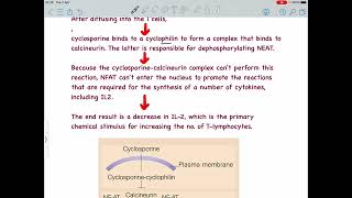 Cyclosporine Mechanism of Action   USMLE pharmacology [upl. by Nylodnarb]