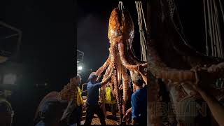 Giant Deep Sea Creature Caught by Fishermen🐙🦑🦀deepseafishing fishingexploration giantseacreature [upl. by Foster]