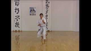 Kanku Sho  Efthimios Karamitsos  Karate  Kata  Shotokan [upl. by Erskine]