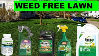 How to Get Rid of Dandelions and Other Weeds using Scotts® Turf Builder Weed amp Feed [upl. by Zitella]