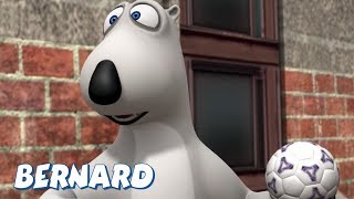 Bernard Bear  Indoor Football AND MORE  Cartoons for Children [upl. by Navillus]