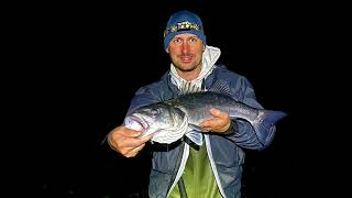 Big autumn bass  lure fishing at night  hunting Welsh silver bars SEA FISHING UK North Wales [upl. by Ramona34]