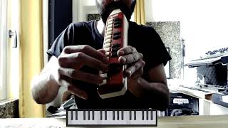 Melodica Tutorial  Panda Dub  Rastamachine [upl. by Busiek]