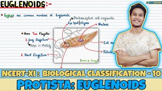 Biological Classification Lec 10 Protista Euglenoids Class 11 NEET Neetology [upl. by Nnaecyoj]