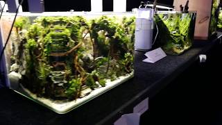 The Art of the Planted Aquarium 2018  Aquascaping Contest [upl. by Pinelli752]