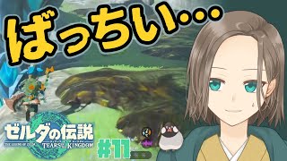 【ゼルダティアキン  11】ばっちいので片づけます🧹異変調査3つ目！ゼルダ初心者🔰 【 Vtuber 鳥名木ねねか  睡眠導入 】 [upl. by Hairam]