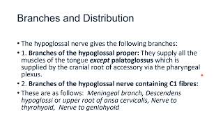 Hypoglossal Nerve [upl. by Brier]