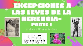 Excepciones Leyes de Mendel Parte I [upl. by Lewanna]