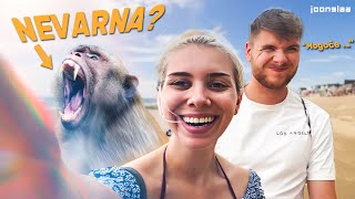 Paradiž na Tajskem in  NAPADALNE OPICE😠🐒l Ema Jagrič Vlog [upl. by Aneehta]