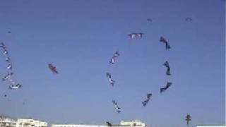 Revolution kite megateam 16 kites [upl. by Race]