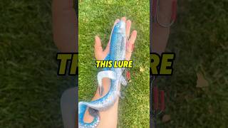 20 INCH FISHING LURE  MONSTER FISH 😱😱😱 fishing shorts outdoors [upl. by Lesly634]