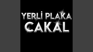 Yerli Plaka Cakal Live [upl. by Lehcim]