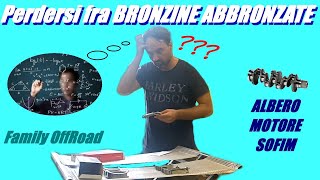 04 Perdersi fra BRONZINE ABBRONZATE albero motore Daily [upl. by Cornew656]