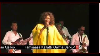 Hamelmal Abate  Afran Qalloo Concert  2019 [upl. by Lebazej]