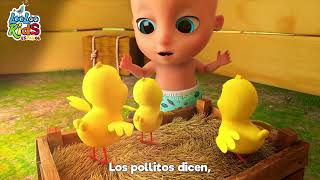 Los Pollitos Dicen Pío Pío  Vaca Lola  Canciones Infantiles  Bebés  Divertidas [upl. by Danby]