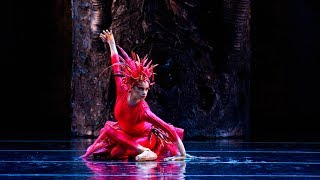 American Ballet Theatre with the St Louis Symphony present quotFirebirdquot [upl. by Irene]