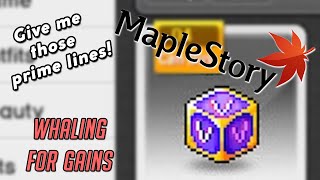 MAPLESTORY Whaling for Gains [upl. by Ixela]