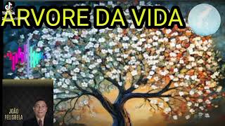 Árvore da Vida [upl. by Trace]