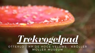 Trekvogelpad Otterlo  NP de Hoge Veluwe amp het Kröller Müller Museum [upl. by Eirbua]