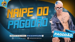 NAIPE DO PAGODÃO 2024 [upl. by Ayom]