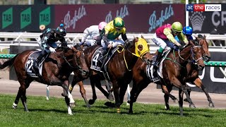 Melbourne Cup 2024 Replay  901 shot Knights Choice wins it in a photo finish under Robbie Dolan [upl. by Larred979]