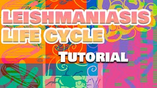 Leishmaniasis Life Cycle [upl. by Yborian353]