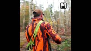 Battue en Sologne  Grands gibiers part 1 chasse hunting [upl. by Cerf]