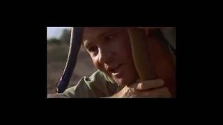 Steve Irwin The Crocodile Hunters Greatest Moments [upl. by Leohcin]