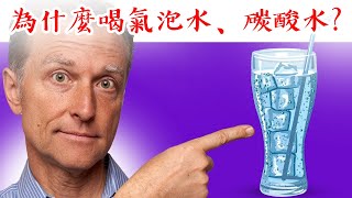 為什麼要喝氣泡水、無糖碳酸水自然療法柏格醫生 Dr Berg [upl. by Magnusson]