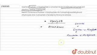 Assertion Fructose1 6 diphosphate is converted into glyceraldehyde3phosphate and dihydroxy [upl. by Elleyoj614]