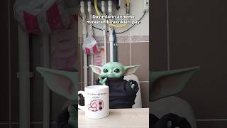 Baby Yodanın annesine kalan miras 😂  Baby Yoda babyyoda [upl. by Toland]