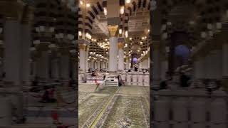 vlog live amazingfacts beautiful motivation umrah shortsfeed masjidenabwi trending [upl. by Atinaw]