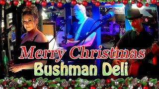 Bushman Deli Christmas Compilation 2023 [upl. by Atinod]