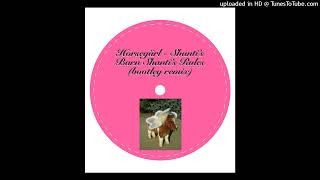 Horsegiirl  Shantis Barn Shantis Rules Bootleg Remix [upl. by Uchida]