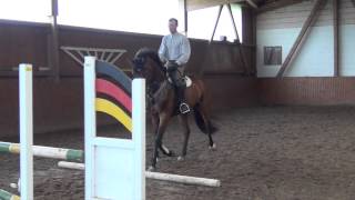 StolzenbergCalypso II mare  2010 for sale [upl. by Hanway]