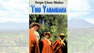 TRÍO YANAHUARA  Música Arequipeña [upl. by Andres]