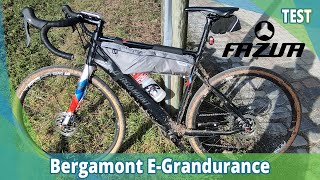 Bergamont EGrandurance Elite 2020  Elektrofahrrad24 TEST [upl. by Weslee214]