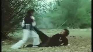 Kungfu movie fight depicting avenging woman  HaKwongLimkv [upl. by Ignatius]