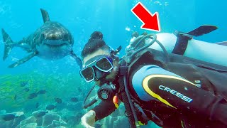 Loose Tank Scare Scuba Diving in El Nido Philippines [upl. by Tram]