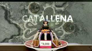 Catallena Intro Zombiegrub Version [upl. by Yesak]