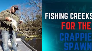 Epic crappie spawn in the creek 2024 25 fish in a 2 foot spot Slab crappie spawn none stop [upl. by Rovaert]