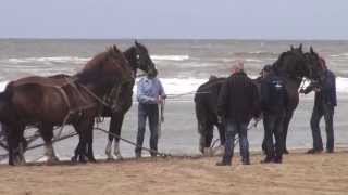 Paardenreddingboot Ameland in Katwijk HDCX730 [upl. by Kevina840]