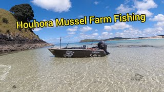 Houhora Mussel Farm Fishing With Nova [upl. by Ranna]