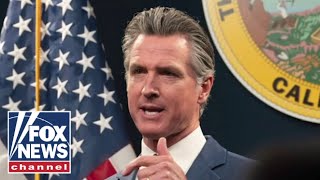 Gavin Newsom is the face of whats wrong with politics Adam Carolla [upl. by Bink]