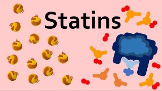 Statins and Cholesterol [upl. by Eirameinna]