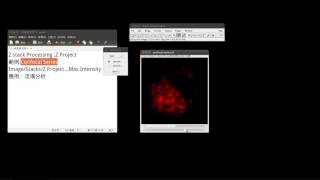 11 imagej的Z stack ProcessingZ Project [upl. by Hidie]