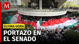 Manifestantes ingresan al Senado buscan suspender la discusión sobre la reforma judicial [upl. by Lindeberg]