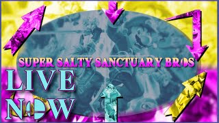 Super Salty Sanctuary Bros 6  Super Smash Bros Ultimate Tournament [upl. by Yesac]